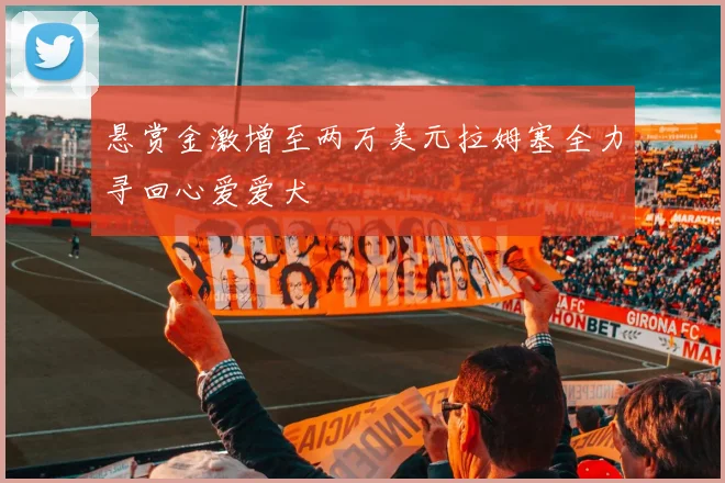 悬赏金激增至两万美元拉姆塞全力寻回心爱爱犬