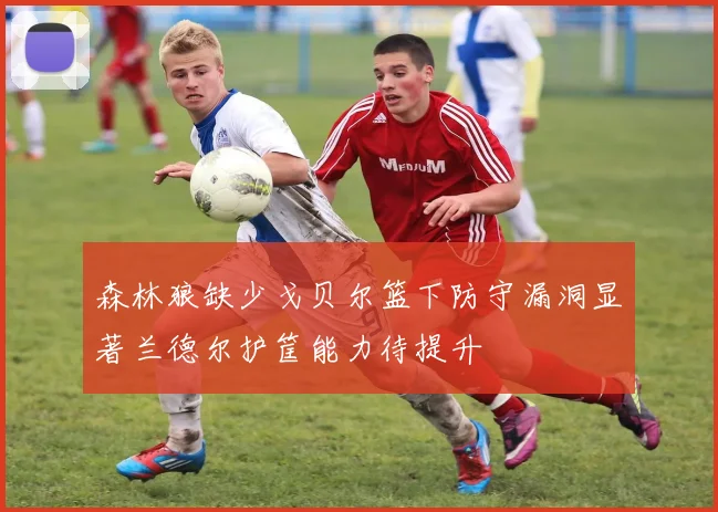 森林狼缺少戈贝尔篮下防守漏洞显著兰德尔护筐能力待提升