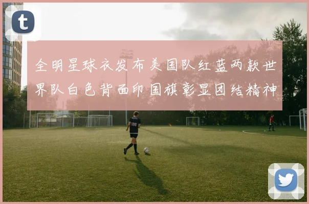 全明星球衣发布美国队红蓝两款世界队白色背面印国旗彰显团结精神