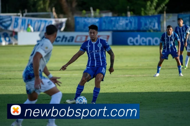 BOB体育平台生态图